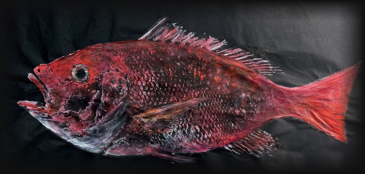 Red Snapper, a gyotaku print by Pablo Peña: a life-size red snapper printed in crimson, pink and white on black, every scale and fin ray visible.